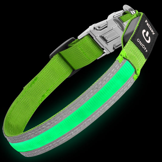 PetIsay Dog Light up Collar with Metal Buckle - Ultimate Reflective LED Dog Collar Rechargeable/Waterproof - Glow in The Dark Dog Collars for Night Walking Camping Foggy Weather(GreenSmall)